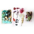 thumbnail image 2 of Natural Real Dried Flowers Kit for Art Craft DIY Soap Candle Scrapbooking DIY Resin Jewelry Making, Bookmark Making Mixed Multiple Colorful Dried Pressed Flowers for Home Decoration, 2 of 7