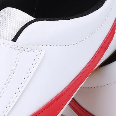 Chaussures de Boxe, Chaussures d'Entraînement Asixx Ou Chaussures de Sport de Taekwondo Unisexes pour le Gym, Spécialement Conçues pour le Taekwondo, la Boxe, le Kung-Fu et le Tai-Chi, Parfaites pour Débutants Ou Professionnels