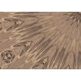 thumbnail image 1 of Ahgly Company Tapis d'Aire Rectangulaire Transitionnel Brun Sable Brun pour Intérieur, Lavable à la Machine, 2 Pieds x 4 Pieds, 1 of 7