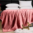 thumbnail image 4 of Birdeem Flannel Blanket Solid Color Multifunctional Cover Blanket, 4 of 8