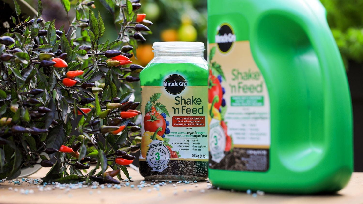 Engrais pour tomates, fruits et légumes Miracle-Gro Shake ’n Feed - 453g
