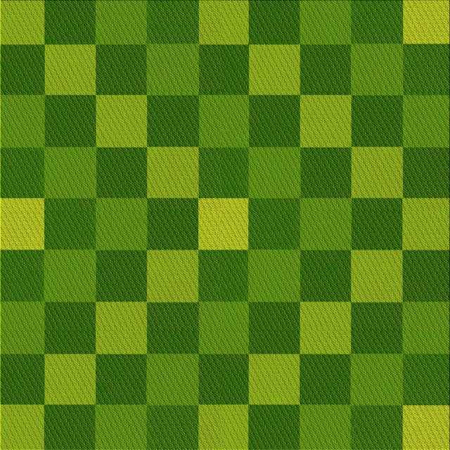 Ahgly Company Tapis d'Intérieur Lavable en Machine Carré Vert, 4 Pieds Carré