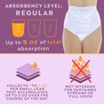 thumbnail image 4 of Wearever Women's Lovely Lace Incontinence Underwear, Regular Absorbency Bladder Control Panties, Reusable 3-Pack, 4 of 11