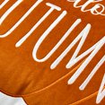 thumbnail image 3 of Way to Celebrate! Lot de 2 coussins décoratifs Hello Autumn, 3 of 5