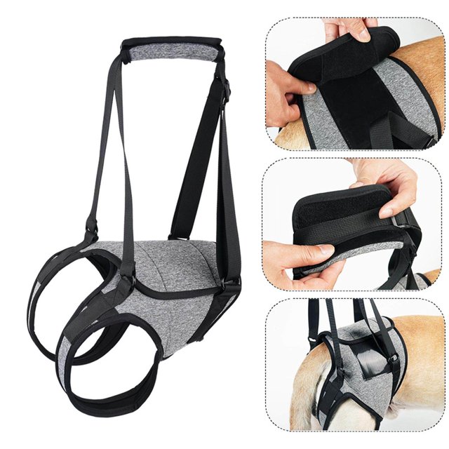 tredstone Dog Lifting Support Harness Auxiliary Belt Dog Sling for Back Legs Portable M