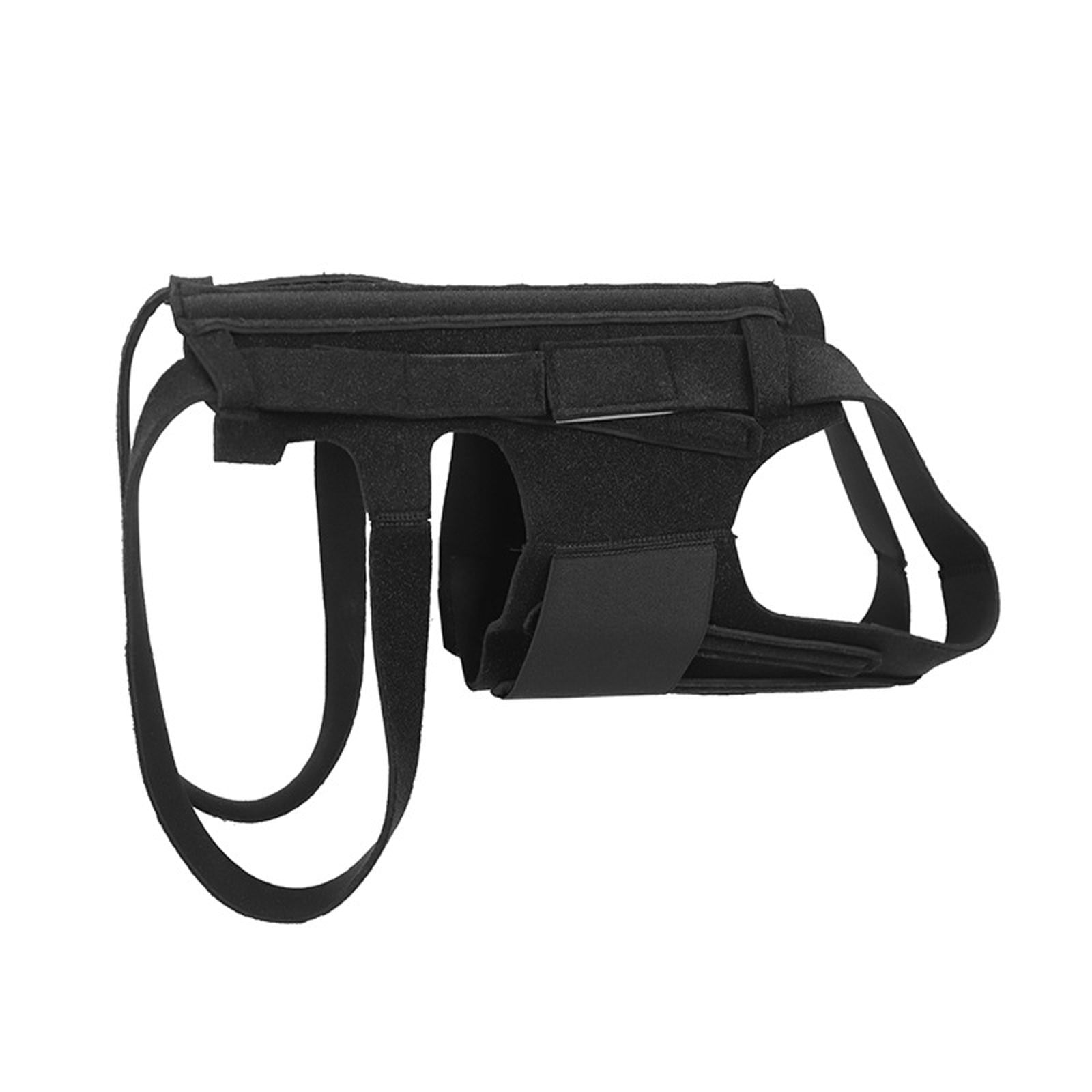Hearth & Gear Dog Back Brace For Dog Back PainRelief Corgies Control Leash for Dogs No Super Long Dog Leash Dog Leash 6ft Rope 6ft Dog Leash for Large Dogs Padded Handle Dog Running Leash Waist Dog