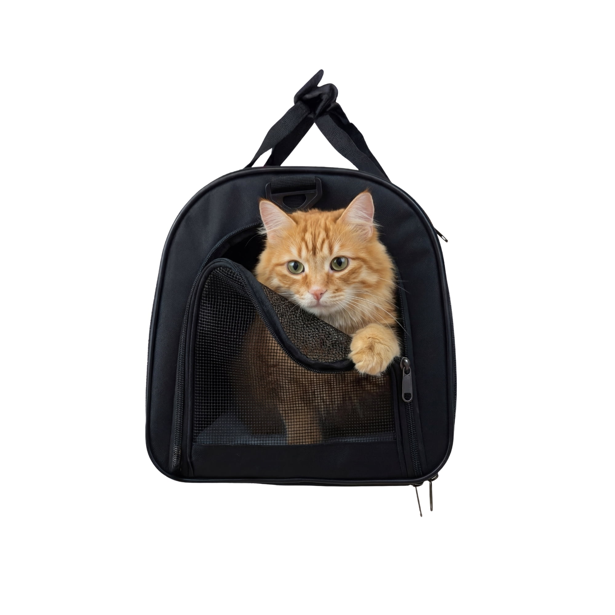 One Paw, Soft Carrier Bag, Small Pet Carrier, Lightweight, for Cats and Small Dogs , Unisex, 19" x 11" x 11"