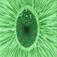 thumbnail image 1 of Ahgly Company Machine Washable Indoor Square Transitional Green Area Rugs, 6' Square, 1 of 7
