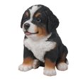 thumbnail image 4 of Hi Line Gift Bernese Mountain Dog Puppy Statue, 4 of 5