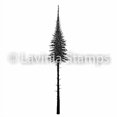 thumbnail image 2 of Lavinia Stamps - Arbre de Sapin Féerique (Petit), 2 of 3