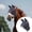 B, variant on Pet Others Breathable Horse Facial for Outdoor Activities and Care Features Lightweight Mesh Comfort Ideal for Horse Handling and Care