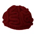 thumbnail image 1 of Funny Brain Knitted Hat,Knitted Personalized Brain Hat,Winter Hat, 1 of 1