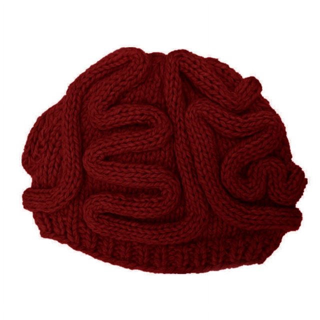 Funny Brain Knitted Hat,Knitted Personalized Brain Hat,Winter Hat