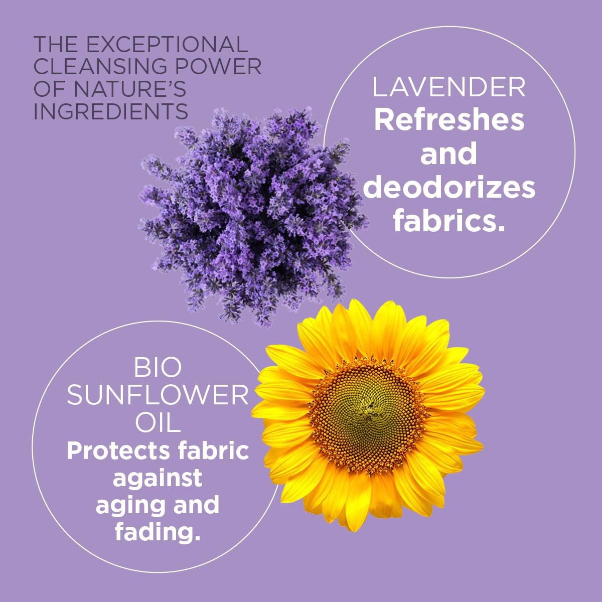 Détergent à Lessive Lavande et Eucalyptus