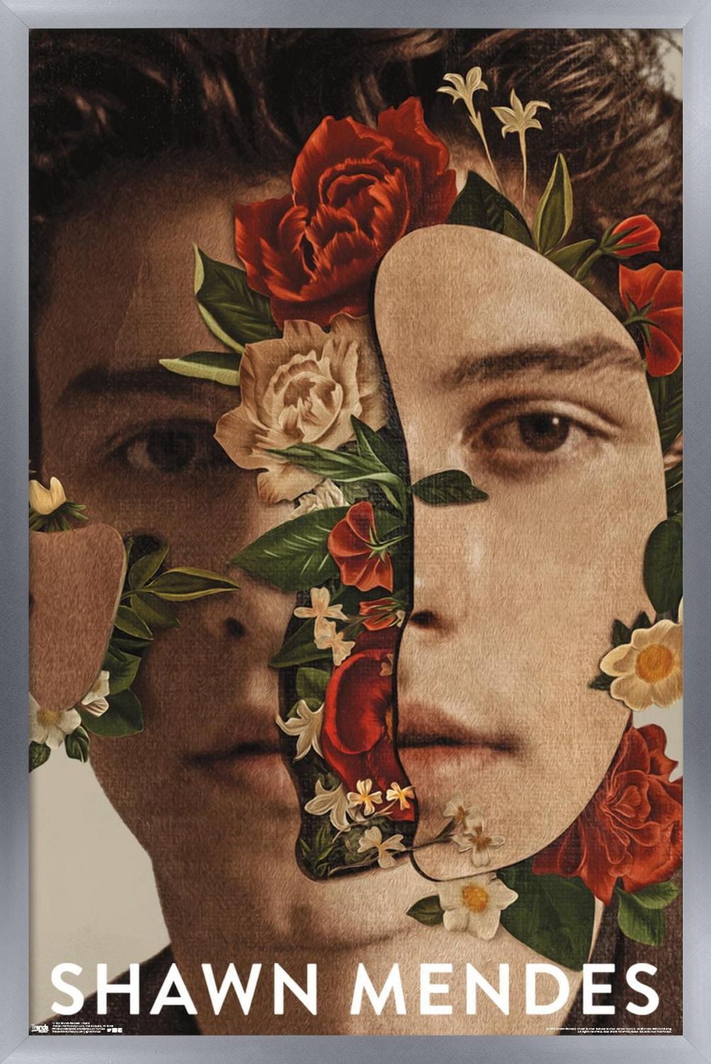 Shawn Mendes