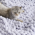 thumbnail image 3 of Comtest Chunky Knit Throw Blanket Chenille, Light Gray, 87"x103"(California King Size), 3 of 6