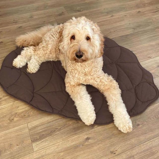 Baohd Durable Dog Bed With Complete Thread Collection Machine Washable Pet Blanket pink 120*110 cm