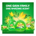 thumbnail image 3 of Gain Liquid Laundry Detergent, Original Scent x 2, 45 WL, Freshness + Odor Fighting, High efficiency washing machine iquid cleaning soap, 3 of 9