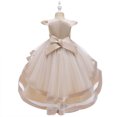 thumbnail image 4 of Robe Enfant Fille Sans Manches Robe Princesse Broderie Robe Queue Fleur Jupe Tutu Jupe Robe en Tulle Canoniques, 4 of 9