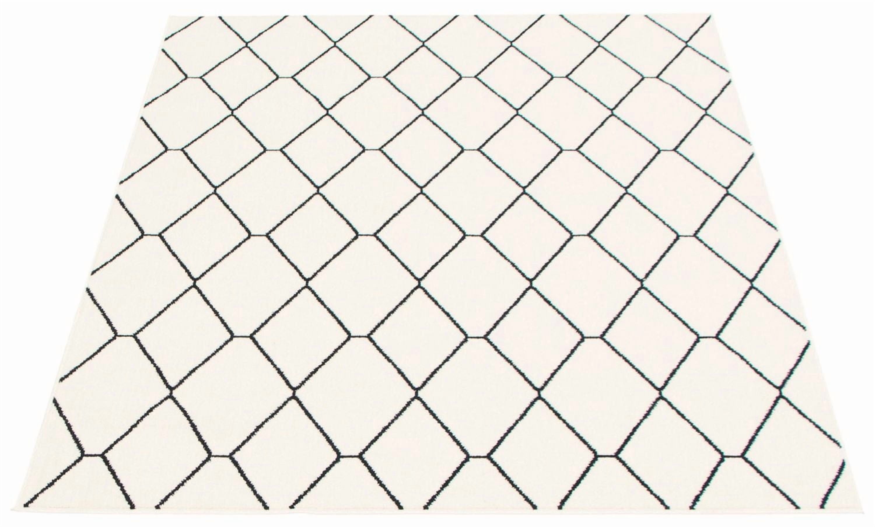 Tapis ECARPET Contemporain pour Salon, Chambre à Coucher, Salle Manger