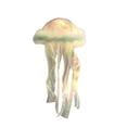 thumbnail image 2 of Kbndieu Jellyfish Lamp Jellyfish Lamp Ensemble de Matériaux, Gadgets du Réveillon du Nouvel An, Gadgets du Réveillon, Décorations, Décoration de Chambre, Gadgets de Table Essentiels pour la Maison, 2 of 3