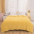 thumbnail image 2 of 18x18 Size Winter Blanket Lightweight Plush Soft Ice Blanket Breathable Temperature Controlled Air Conditioning Blanket In Summer Suitable for Constant Temperature Blanket In Air Conditioned Room, 2 of 9