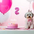 thumbnail image 2 of fastboy Easy Letter Birthday Party Decorations Balloons For Flexible And Practical Party Planning Durable Pink,9 16 inch, 2 of 6