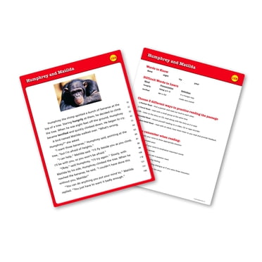 Learning Resources Cartes de Maîtrise de la Lecture (3e Année)