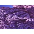thumbnail image 1 of Ahgly Company Tapis d'Intérieur Lavables en Machine, Rectangulaires, Violet Indigo, 2' x 4', 1 of 7