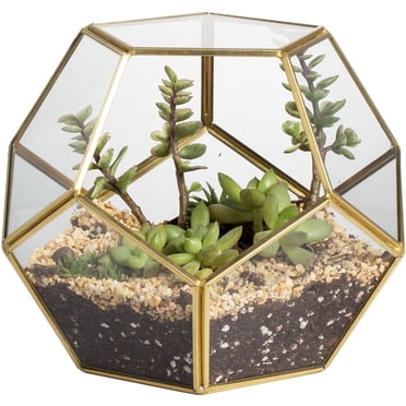 NCYP Closed Gold Geometric Terrarium with Door, for Cactus, Succulents, 6.89 x 6.89 x 5.9 inches (Terrarium Only)