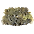 thumbnail image 2 of Al Dayaa Feuilles de vigne 1 L pot, 2 of 3