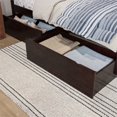thumbnail image 3 of AFI Tiroirs de Lit en Bois Massif pour Lit Simple Urbain en Espresso (Ensemble de 2), 3 of 10