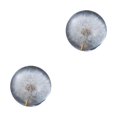 thumbnail image 1 of Baohd Exquisite Flower Crystal Ball Adding Elegance To Space Easily Portable Dandelions 6cm 2Set, 1 of 6