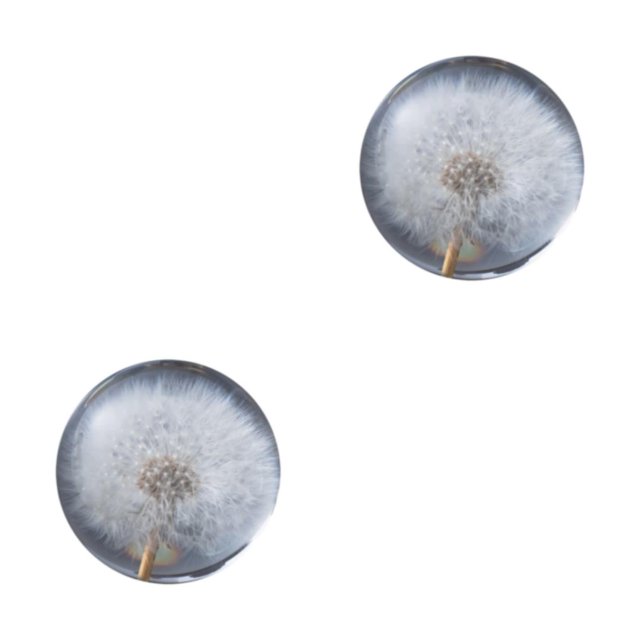 Baohd Exquisite Flower Crystal Ball Adding Elegance To Space Easily Portable Dandelions 6cm 2Set