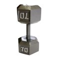 thumbnail image 1 of CAP Barbell Cast Iron Hex Dumbbell, 1 of 6