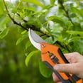thumbnail image 1 of YoGold Pruning Shears for Gardening, Ultra Sharp Garden Scissors for Precise Cuts, Stainless Steel Bonsai Clippers with Spring Loaded Pruners Bypass Pruning Shears For Your Garden Orange, 1 of 6