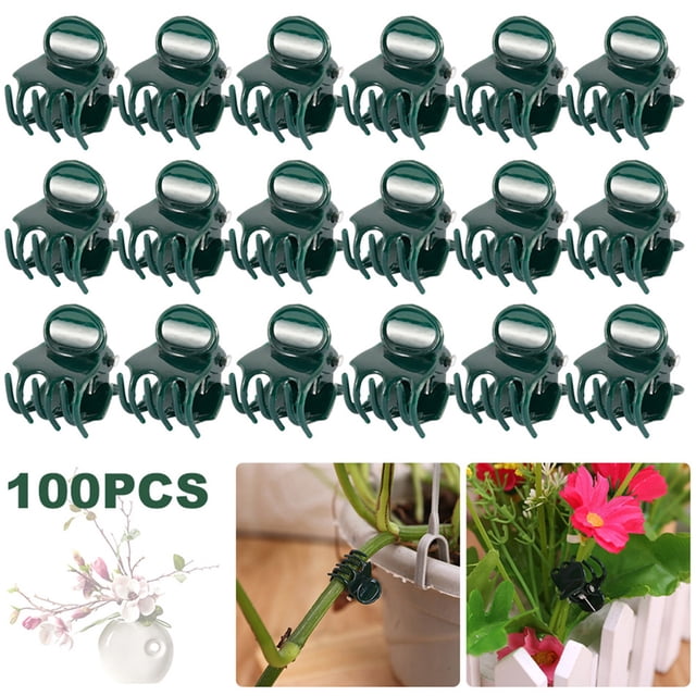 Cameland 20PCS/100PCS Phalaenopsis Flower Fixing Clip For Horticultural VINESs Support Branch Clip