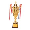 thumbnail image 1 of Tasses de Trophées de Récompense, Tasse de Trophées en Métal avec Ruban pour Compétitions Récompenses Scolaires Décoration de Fête, 47 cm, 1 of 8