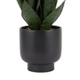 thumbnail image 4 of Anko Faux Snake Plant in Pot, 4 of 5