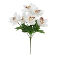 thumbnail image 1 of Mainstays Artificial Orchid Pick, For indoor use, 1 of 8