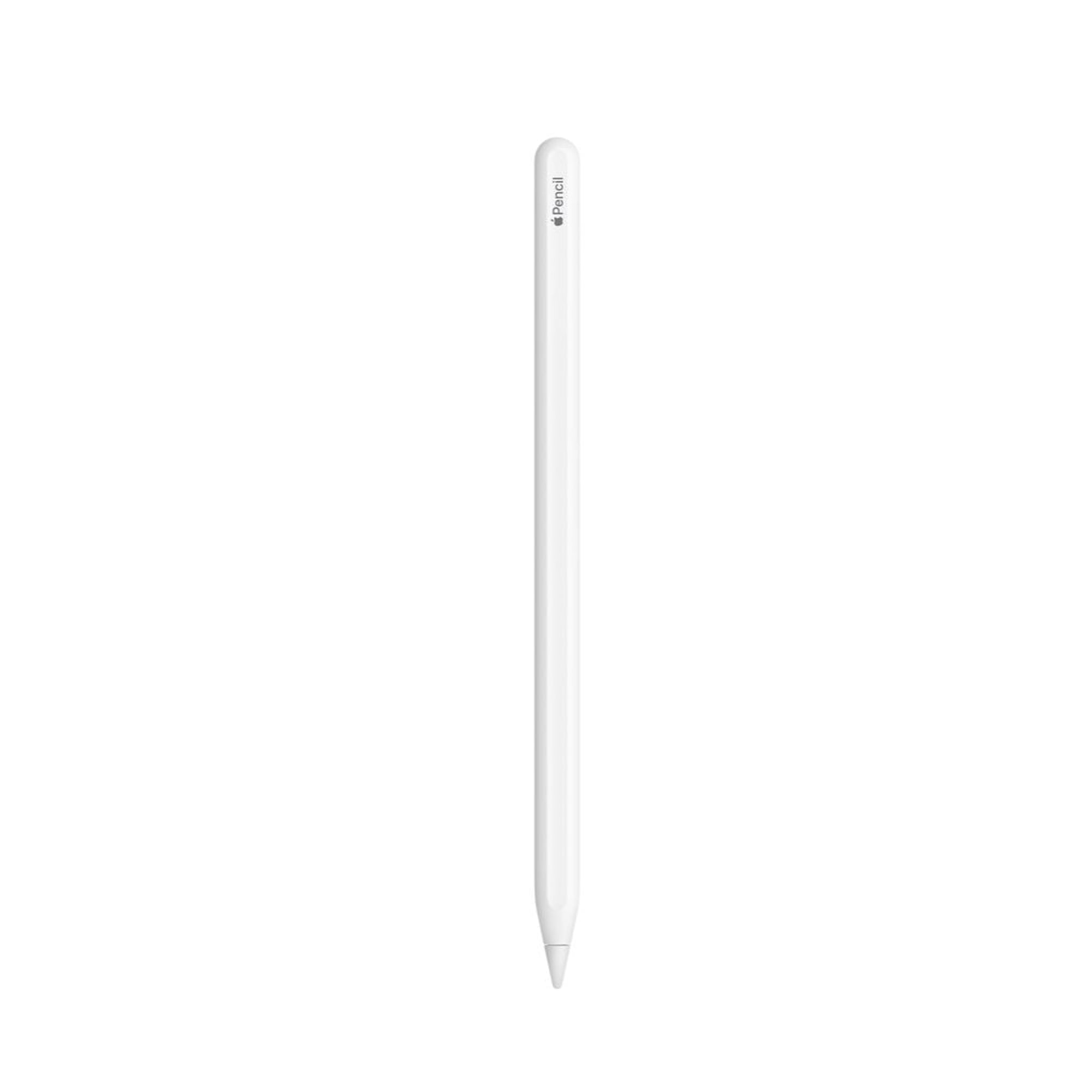 Apple Pencil 第2世代 A2051 (145) Apple Pencil (2nd generation) - Walmart.ca