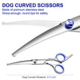thumbnail image 3 of CHUANK Dog Grooming Scissors with Safety Round Tips Stainless Steel Professional Dog Grooming Kit - Thinning  Curved Scissors and Comb for Dog Cat Pet, 3 of 5