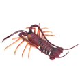 thumbnail image 4 of Homard Simulation, Jouet Homard, avec Artisanat Exquis Couleur et Texture Réalistes Non - et pour Enfants Jouet Maison, 4 of 8