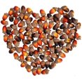 thumbnail image 2 of Artificial Acorn for Decoration Pumpkin Decor Halloween Thanksgiving Decor Tabletop Decor for Home (Acorn-50Pcs), 2 of 6