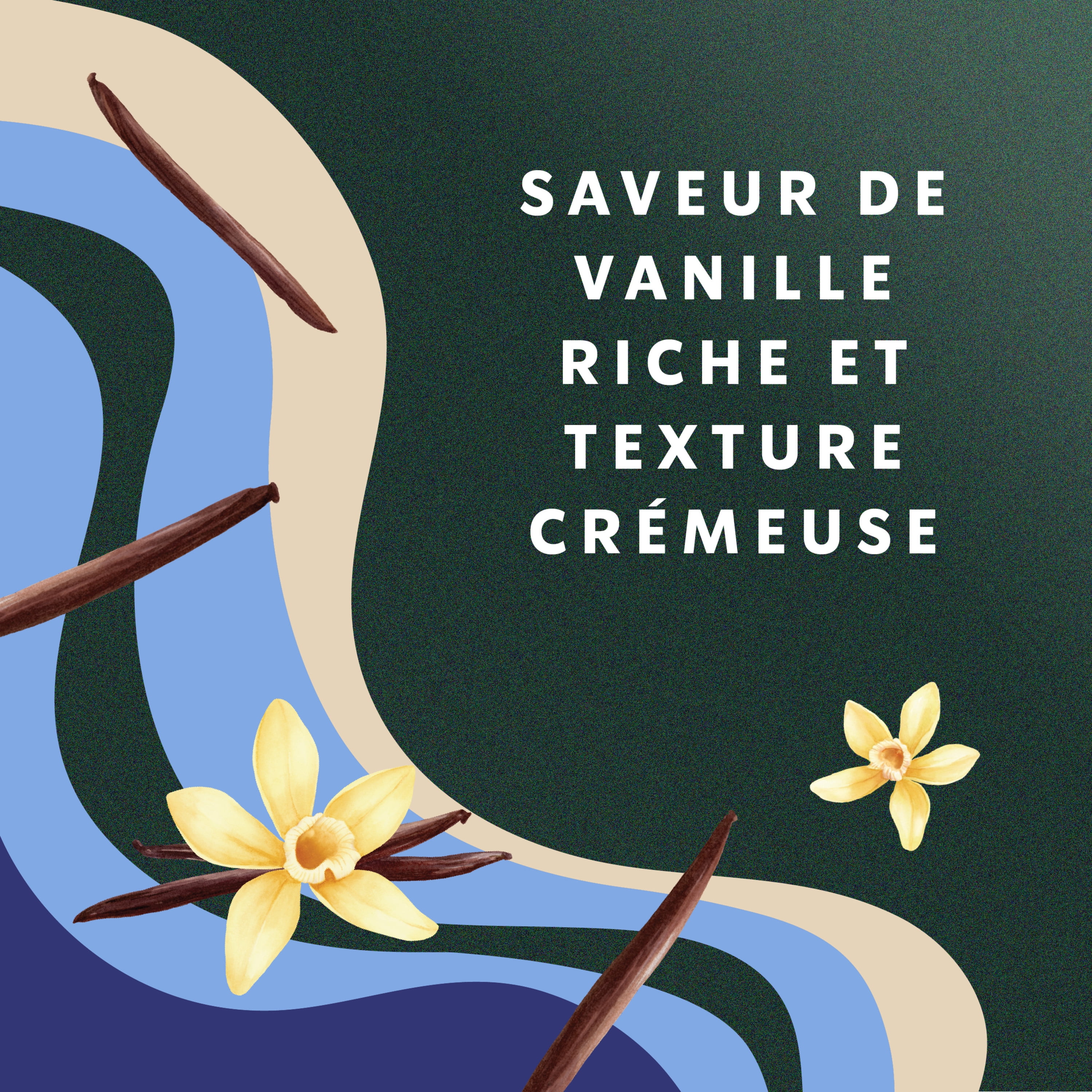 STARBUCKS Rehausseur de café non laitier, vanille, mélange d’amandes et d’avoine, végétalien