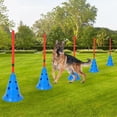 thumbnail image 5 of Yiwa Dog Agility Hurdle Cone Set, Dog Agility Training Equipment with 12 Agility Cones 6 Agility Rods 2 Rod Buckles, Dog Agility Course Set Puppy Obstacle Course Jump with Storage Bag for Outdoor, 5 of 5
