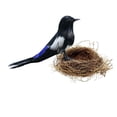 thumbnail image 4 of veasfak Artificial Bird Feathered Realistic Garden Home Decor Ornament - Multi, Magpie, 4 of 8
