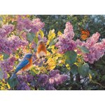 Cobble Hill 500 Puzzle de pièce - Interlude de printemps - Modèle d'affiche inclus