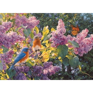 Cobble Hill 500 Puzzle de pièce - Interlude de printemps - Modèle d'affiche inclus