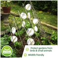 thumbnail image 3 of Qjuhung Bird Deterrent Reflective Discs Repellent Swivel Outdoor 8 Pack, 3 of 7